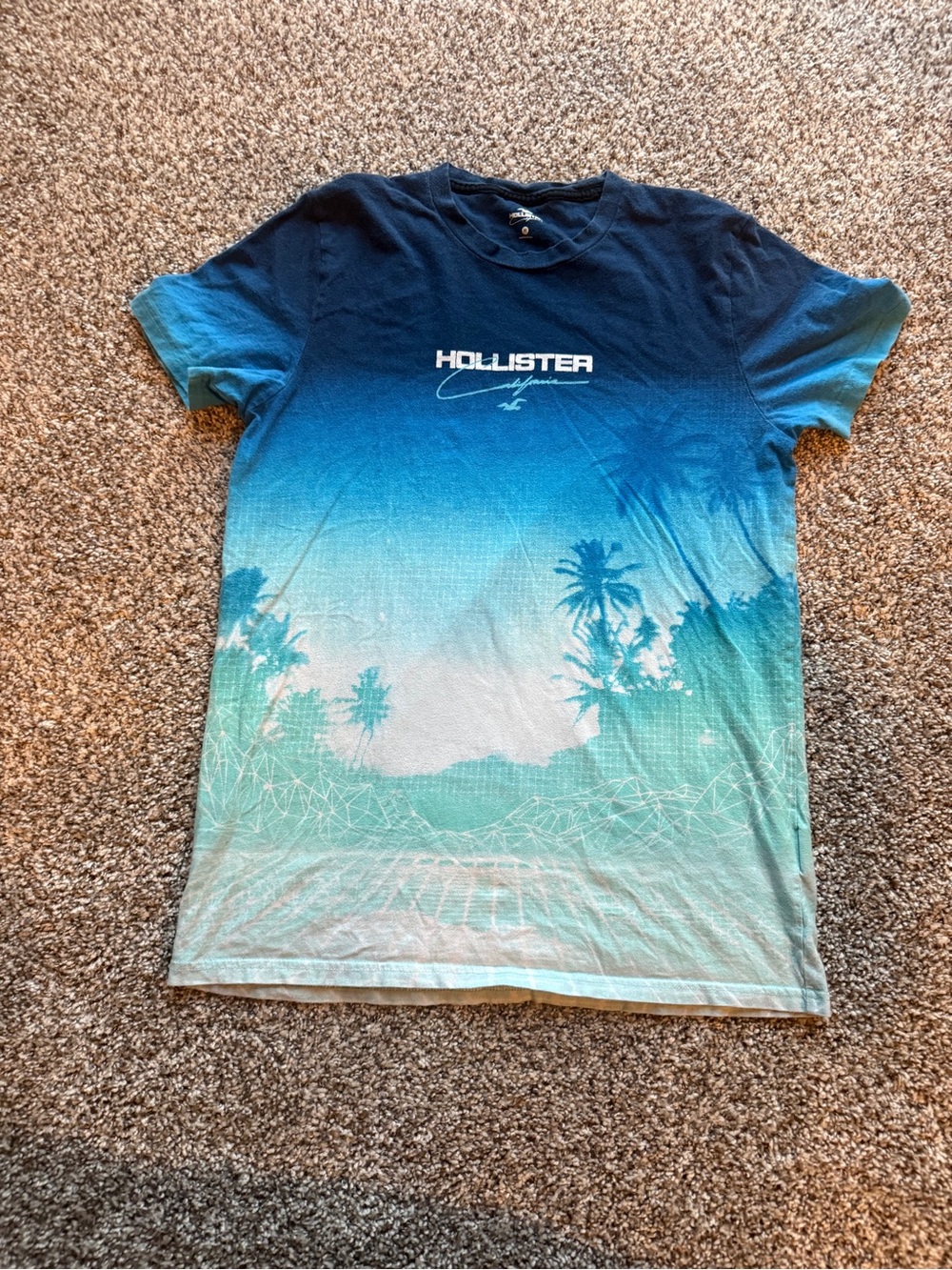 Hollister Navy Blue Crewneck Logo Tee